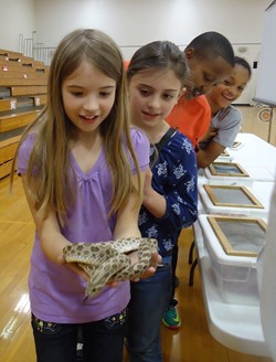 Real Science Programs for 4th Graders at SES